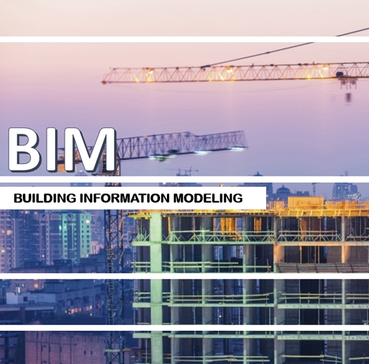 bim-survey