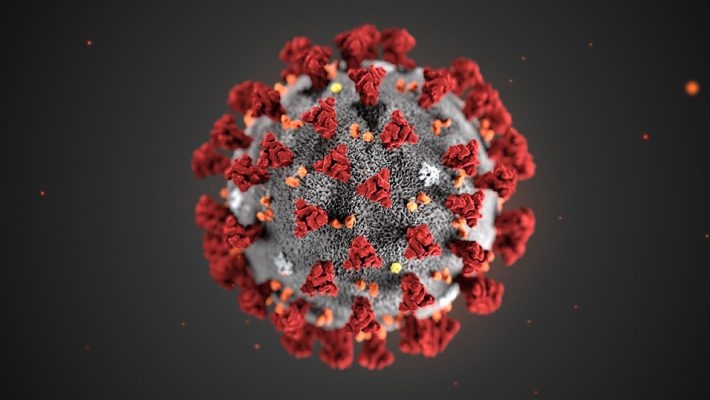 Protocollo parti sociali coronavirus
