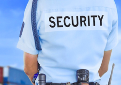 Interpello n. 6 del 18/07/2018 - Vigilanza lavoratori addetti a mansioni di sicurezza